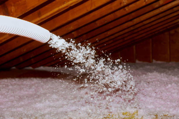 Insulation for New Construction in Kissimmee, FL