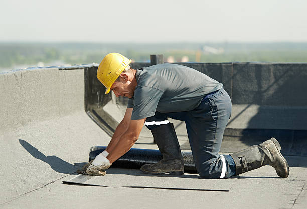 Best Energy-efficient Insulation  in Kissimmee, FL